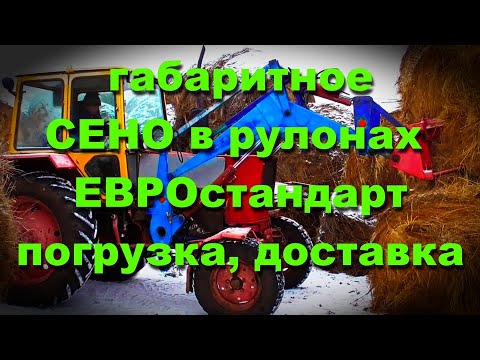 Видео: Сено в рулонах доставка  заказчику в деревне