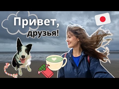 Видео: Уютный влог. Как меня отшили в зале. Знакомство со щенками, японский кит-кат, привиредливые британцы
