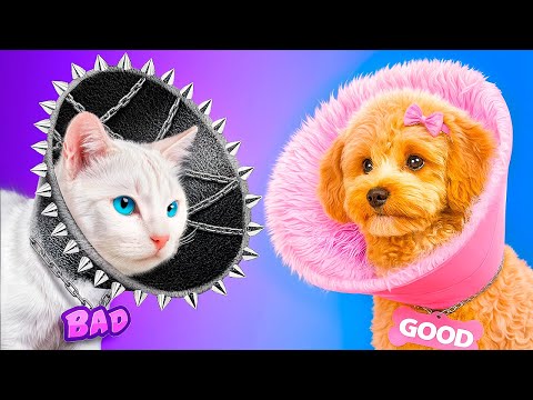 Видео: Мы построили секретные домики для питомцев! Хорошая собака vs плохая кошка!