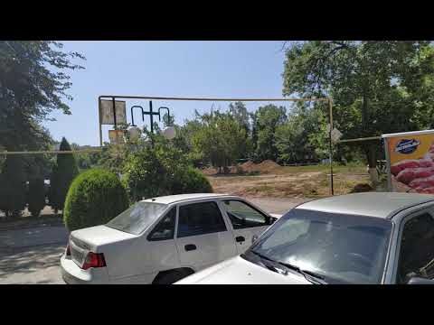 Видео: Юнусабад, А-1 вступление, 4-й квартал. Белый тутовник, черешня " бычий глаз