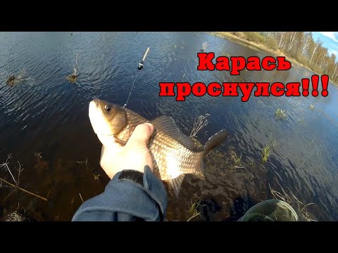 Видео: Весенняя ловля карася на поплавок!