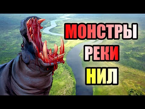 Видео: МОНСТРЫ РЕКИ НИЛ!!! Опасная Река Африки! #река #нил #африка