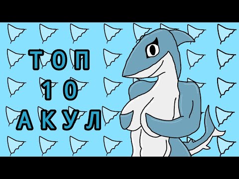 Видео: "ТОП КОГО-ЧЕГО-ТО ТАМ" - ТОП 10 АКУЛ