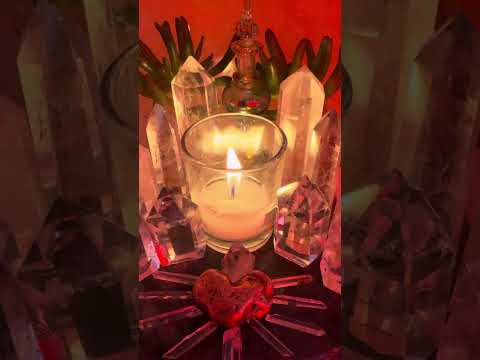 Видео: 🎭🐍Мужчина и его фальшивые друзья участвуют в мошенничестве, незаконно следя за вами, но за ними с...