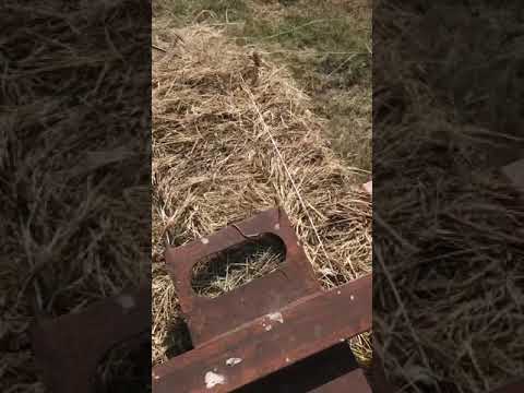 Видео: Немецкий вязальный аппарат на Киргистан #джондир #киргистан #симпа #пресс #ростельмаш