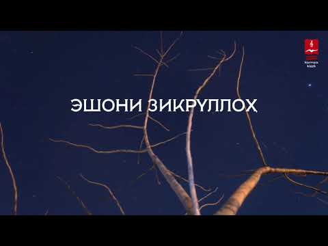 Видео: Эшони Зикруллоҳ 2023 ҳар дили санг об мешавад.       Давом дорад!