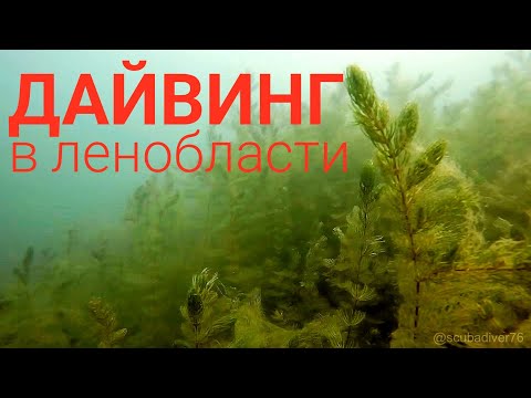 Видео: Дайвинг в Ленинградской области. Карьер Келколово