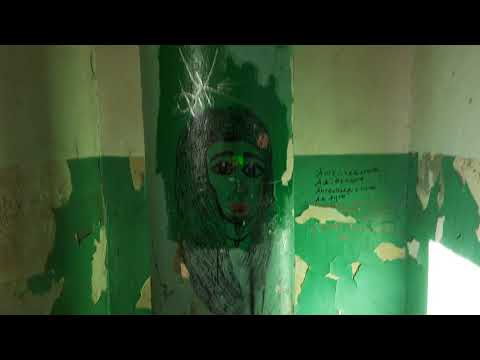 Видео: Лифт УКМ 320 кг 0,71 м/с без реверса, нажали кнопку стоп