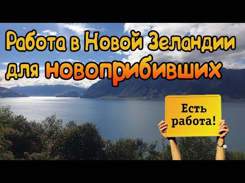 Видео: Работа на Фермах в Новой Зеландии. Уехать Жить Заграницу.