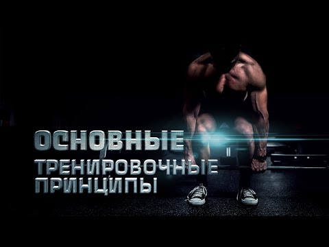 Видео: Основы тренировочных принципов