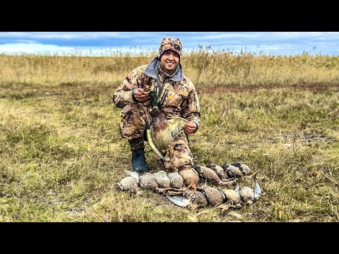 Видео: Прекрасная охота на уток с отцом | Северная потянула 🦆