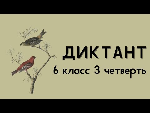 Видео: Диктант 6 класс 3 четверть «Птицы»