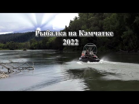 Видео: Браконьеры??