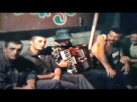 Видео: 17 апреля 2025 г.