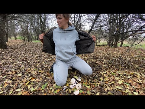 Видео: вирішила піти по гриби і натрапила на звіра