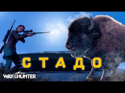 Видео: Way Of The Hunter - БОЛЬШАЯ ОХОТА - Бизоны - Аврора Шортс