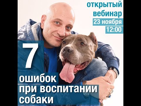 Видео: 7 ошибок владельцев собак (Антуан Наджарян)
