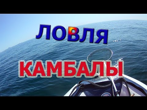 Видео: Ловля камбалы во Владивостоке. Рыбалка на море приморский край 2019