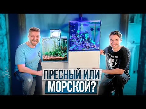 Видео: ОБЗОР АКВАРИУМОВ DENCRAB