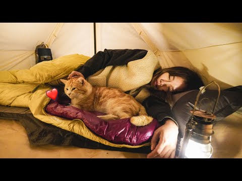 Видео: Кемпинг на электромобиле у моря (Подзаголовок: Делить спальный мешок с кошкой)