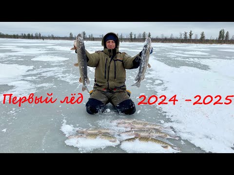 Видео: Первый лед 2024 2025! Этот год мы открываем Щукой  Часть 1