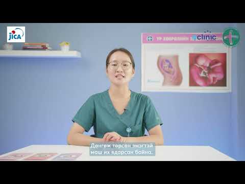 Видео: Хөхний сүүний гарц 🤱🤰