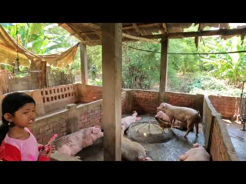 Видео: Деревня Фермеры Рисовый Самогон Камбоджа Азия 2022 Village Farmers Rice Moonshine Cambodia Asia 2022