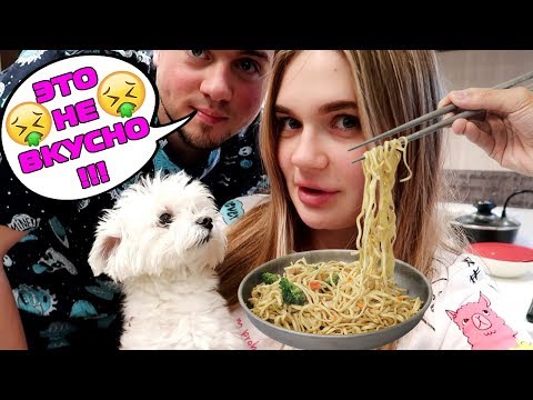 Видео: ВЫЖИВАЕМ С СОБАКОЙ НА 94 РУБЛЯ! ЭТО НЕРЕАЛЬНО!