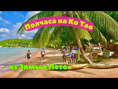 Видео: Красивый Сайри и кристальные воды: пляжная прогулка на острове Ко Тао