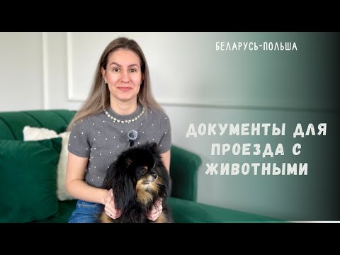 Видео: Провоз животного через границу. Перечень документов. История как мы пересекали границу с собакой.