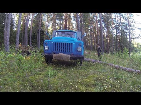 Видео: Заготовка дров 2025