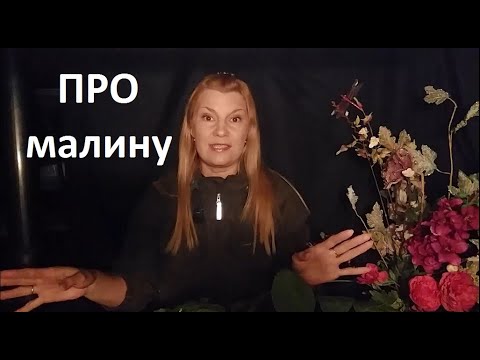 Видео: Про малину.