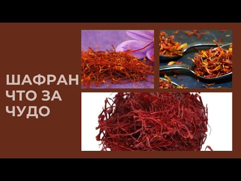 Видео: ШАФРАН ПОЧЕМУ ТАКОЙ ДОРОГОЙ И ЧЕМ ПОЛЕЗЕН ШАФРАН