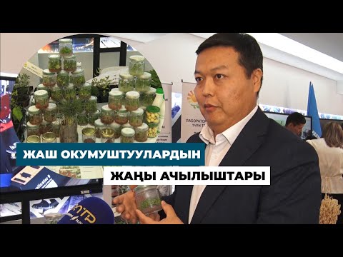 Видео: ЖАШ ОКУМУШТУУЛАРДЫН ЖАҢЫ АЧЫЛЫШТАРЫ