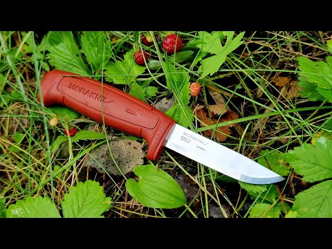 Видео: ДЛЯ ВСЕХ ВРЕМЕН И НАРОДОВ. MORA BASIC 511