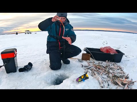 Видео: ЖЕСТЬ! ВОТ ЭТО КЛЁВ ОКУНЯ. Набил пакеты и домой!