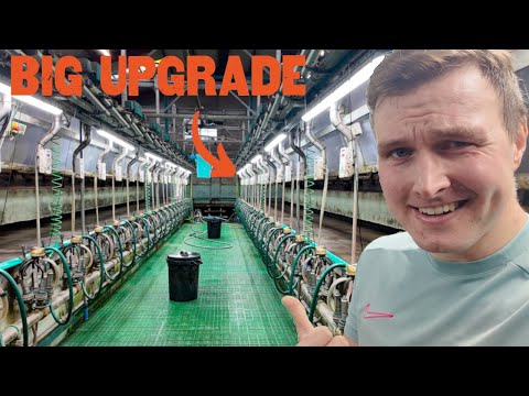 Видео: 5 лет спустя: обзор доильного зала (что сработало / что не сработало)