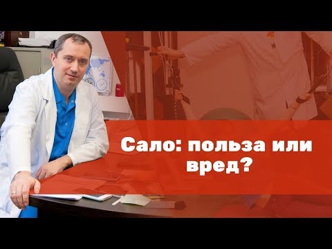 Видео: Сало: польза или вред
