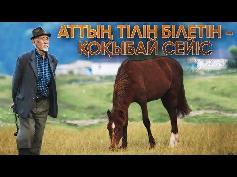 Видео: АТТЫҢ ТІЛІН БІЛЕТІН АҚСАҚАЛ👴🏼 - Жылқы Жайлы