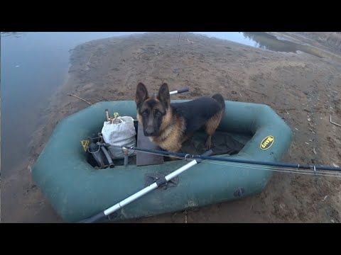 Видео: Последняя осенняя рыбалка! Теперь ждем мороз и лед.