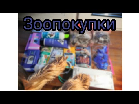 Видео: Покупки из зоомагазина для собаки