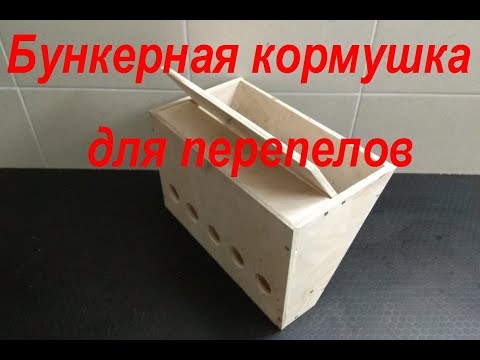 Видео: Лучшая бункерная кормушка для перепелов без потери корма.