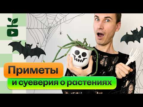 Видео: 🎃 Приметы и суеверия о растениях. Хэллоуин Спешл