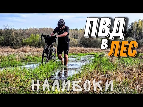 Видео: Велопоход по маршруту марафона Налибоки 25.