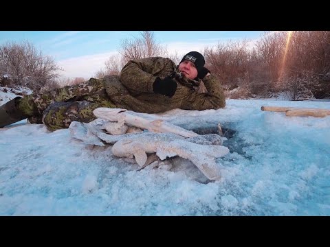 Видео: Ура! Открыл сезон! Хапуги радуют уловом!