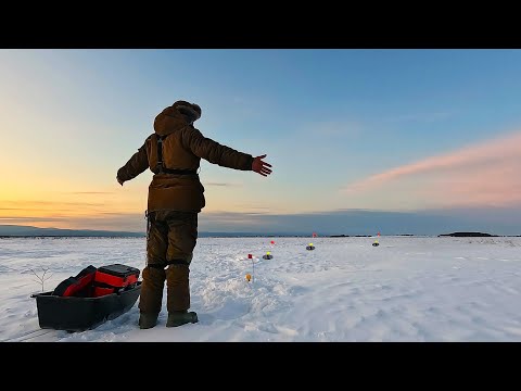 Видео: Оставил жерлицы на ночь и был удивлён от такого результата!