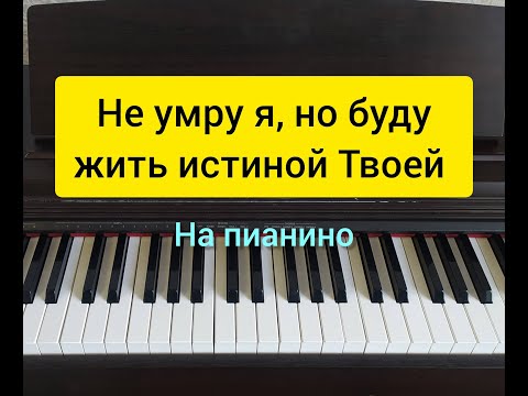 Видео: Не умру я, но буду жить истиной Твоей