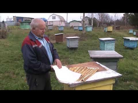 Видео: ХОЛСТИК ИЛИ ПОЛИЭТИЛЕНОВАЯ ПЛЁНКА ПРИ ЗИМОВКЕ ПЧЁЛ