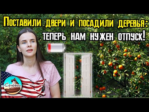 Видео: Поставили двери и посадили деревья: теперь нам нужен отпуск!