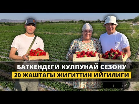Видео: Эрке баламдын аракетин көрүп сүйүнөм!